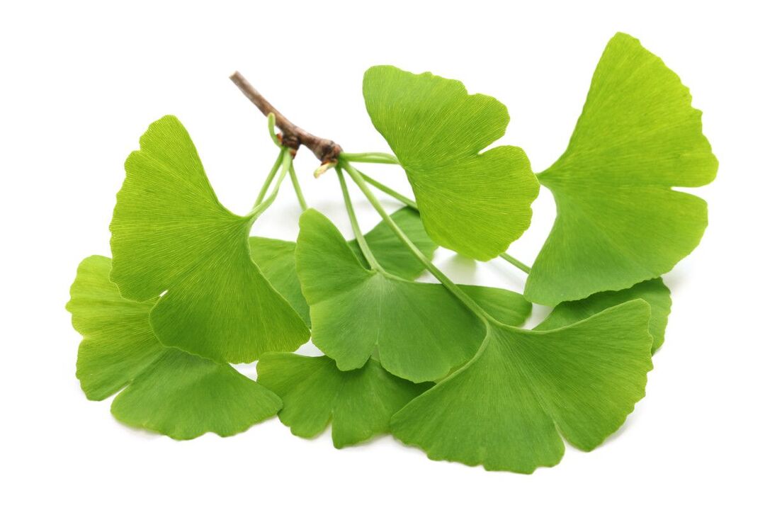 Ginko Biloba Tropfen Alcozar